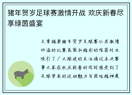 猪年贺岁足球赛激情开战 欢庆新春尽享绿茵盛宴