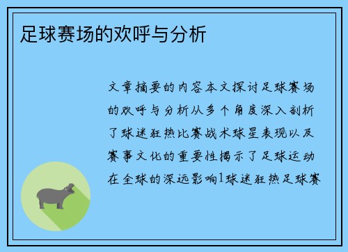 足球赛场的欢呼与分析