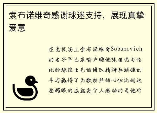 索布诺维奇感谢球迷支持，展现真挚爱意